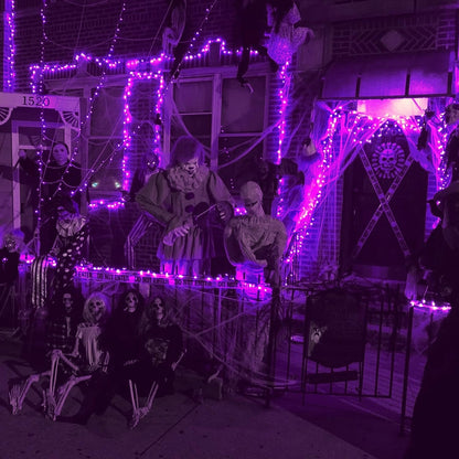  66Ft Purple Halloween Lights String Lights Plug In 